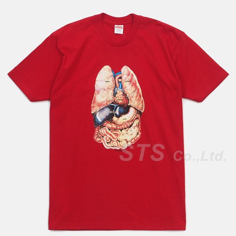 Supreme GUTS TEE XLサイズ