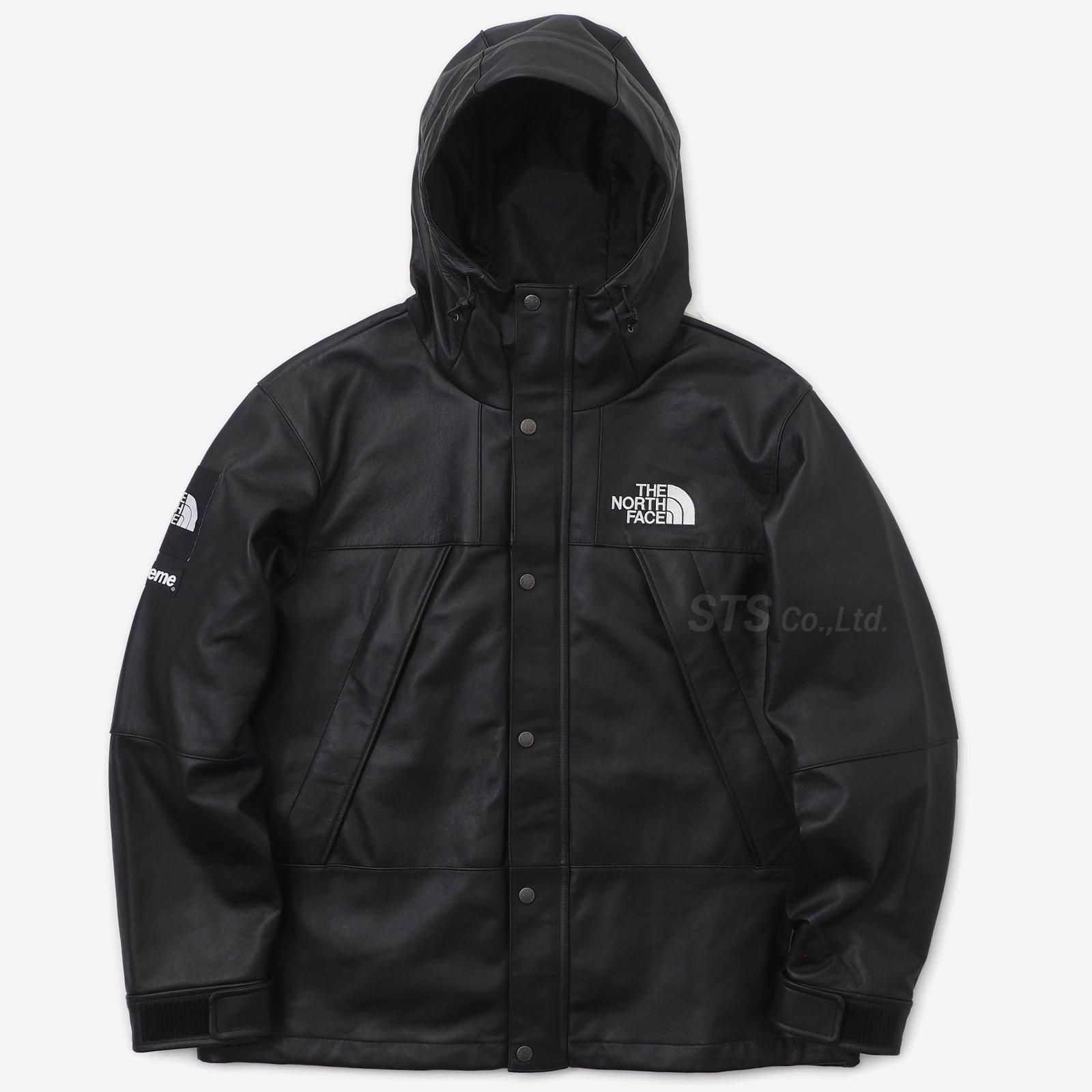 袖丈635Supreme NorthFace Leather Mountain Parka