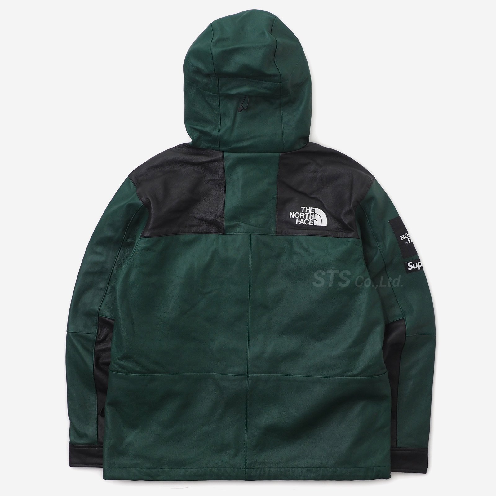 The North Face Leather Mountain Parka