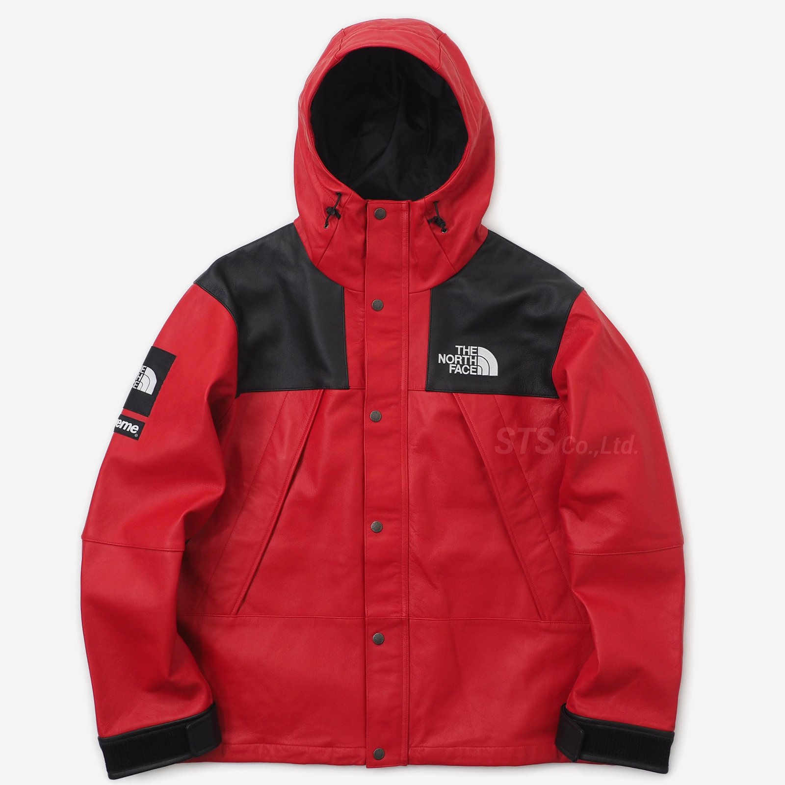 Supreme/The North Face Leather Mountain Parka - ParkSIDER