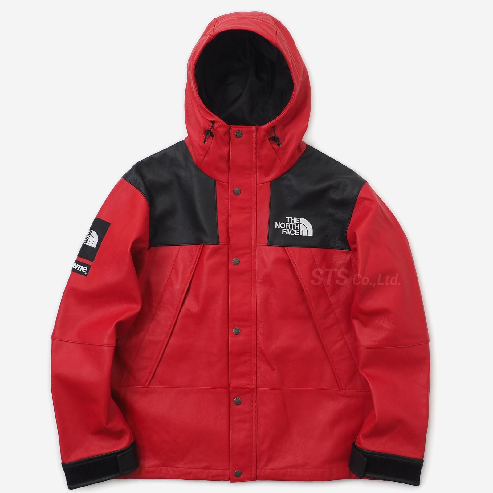 Supreme North Face Leather Mountain Park - マウンテンパーカー