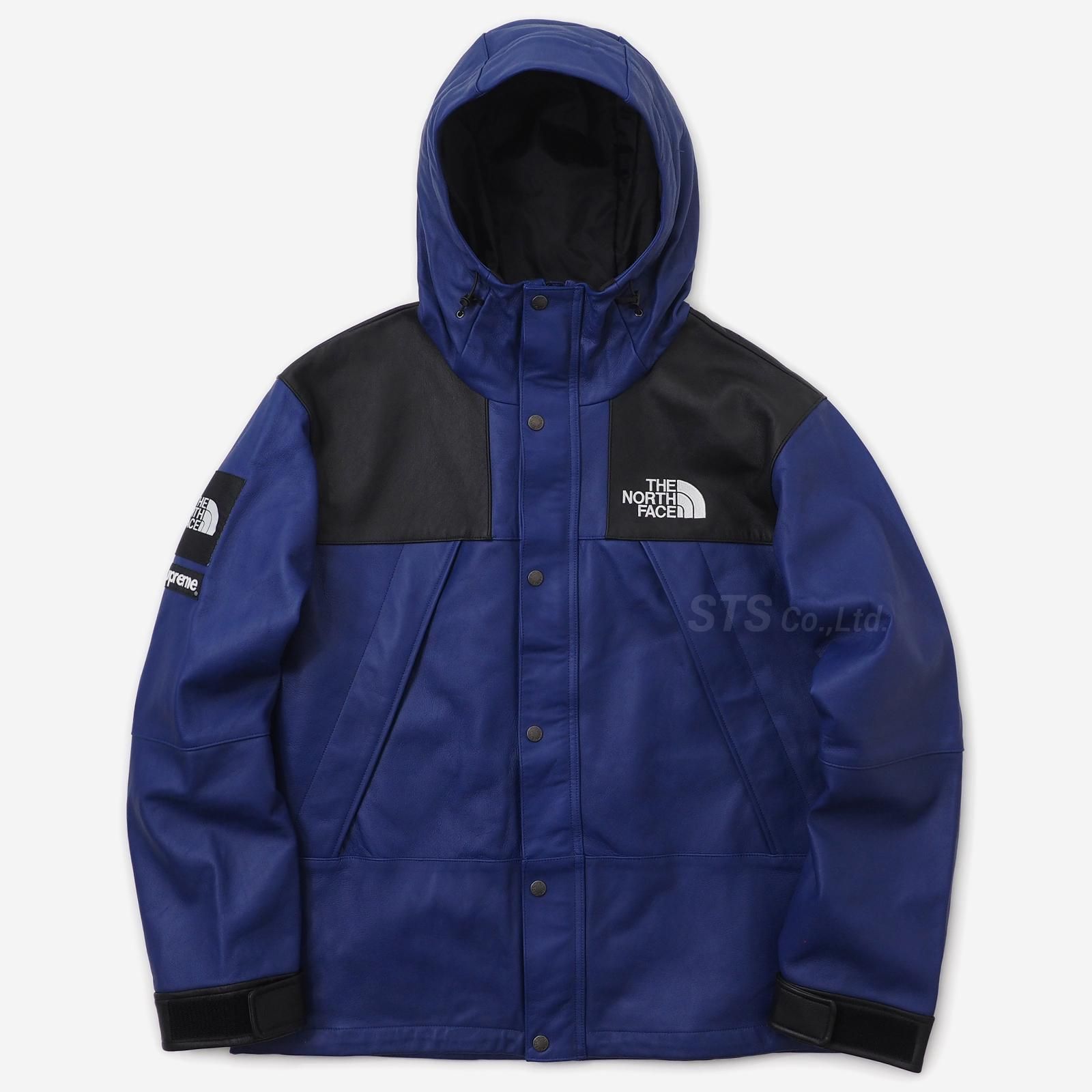 Supreme The North Face Leather Mounta