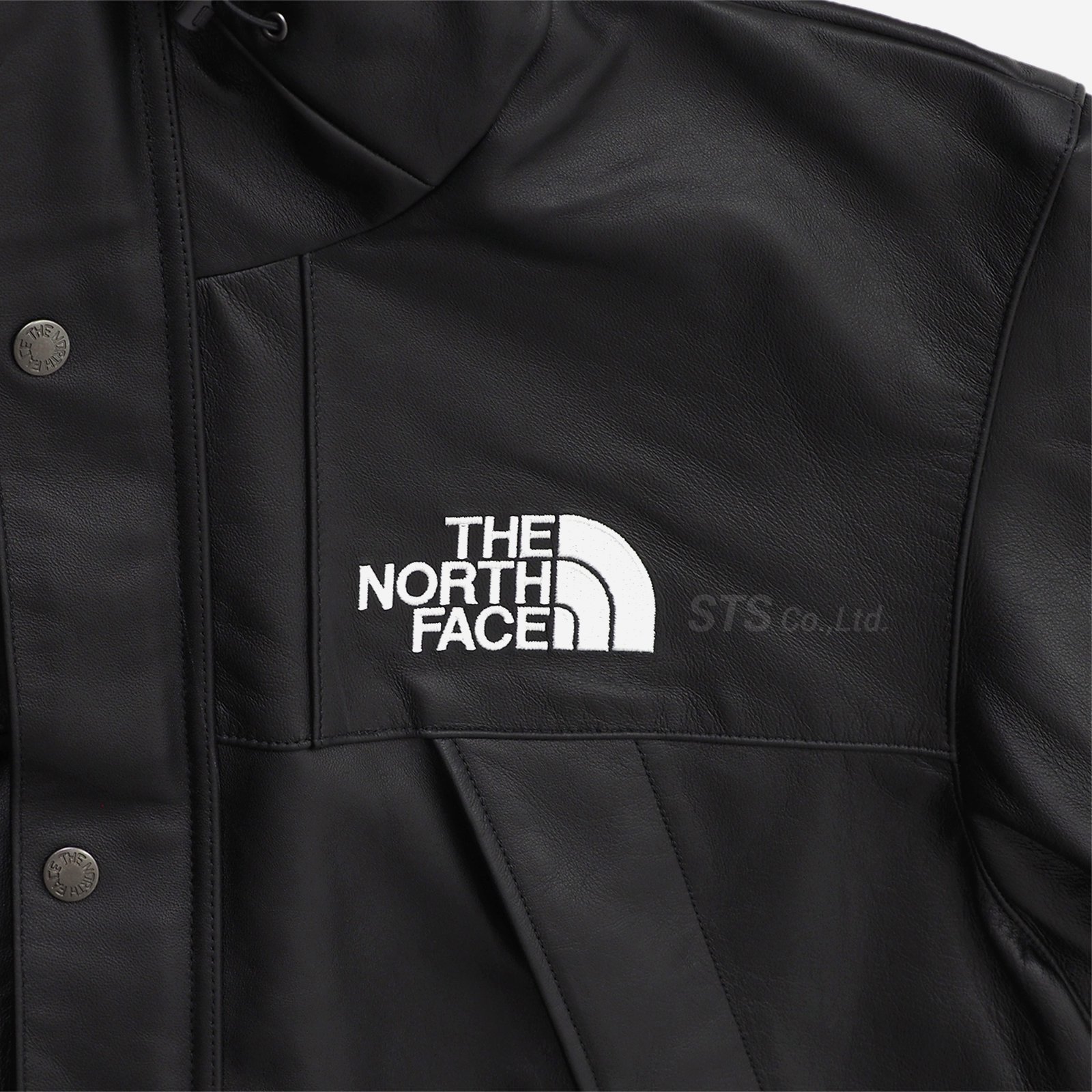 Supreme/The North Face Leather Mountain Parka - ParkSIDER