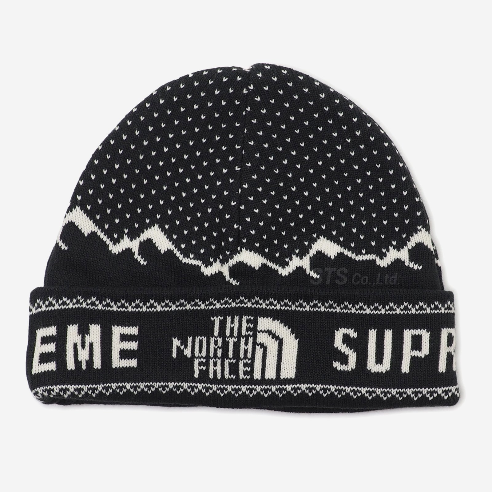 Supreme/The North Face Fold Beanie - ParkSIDER