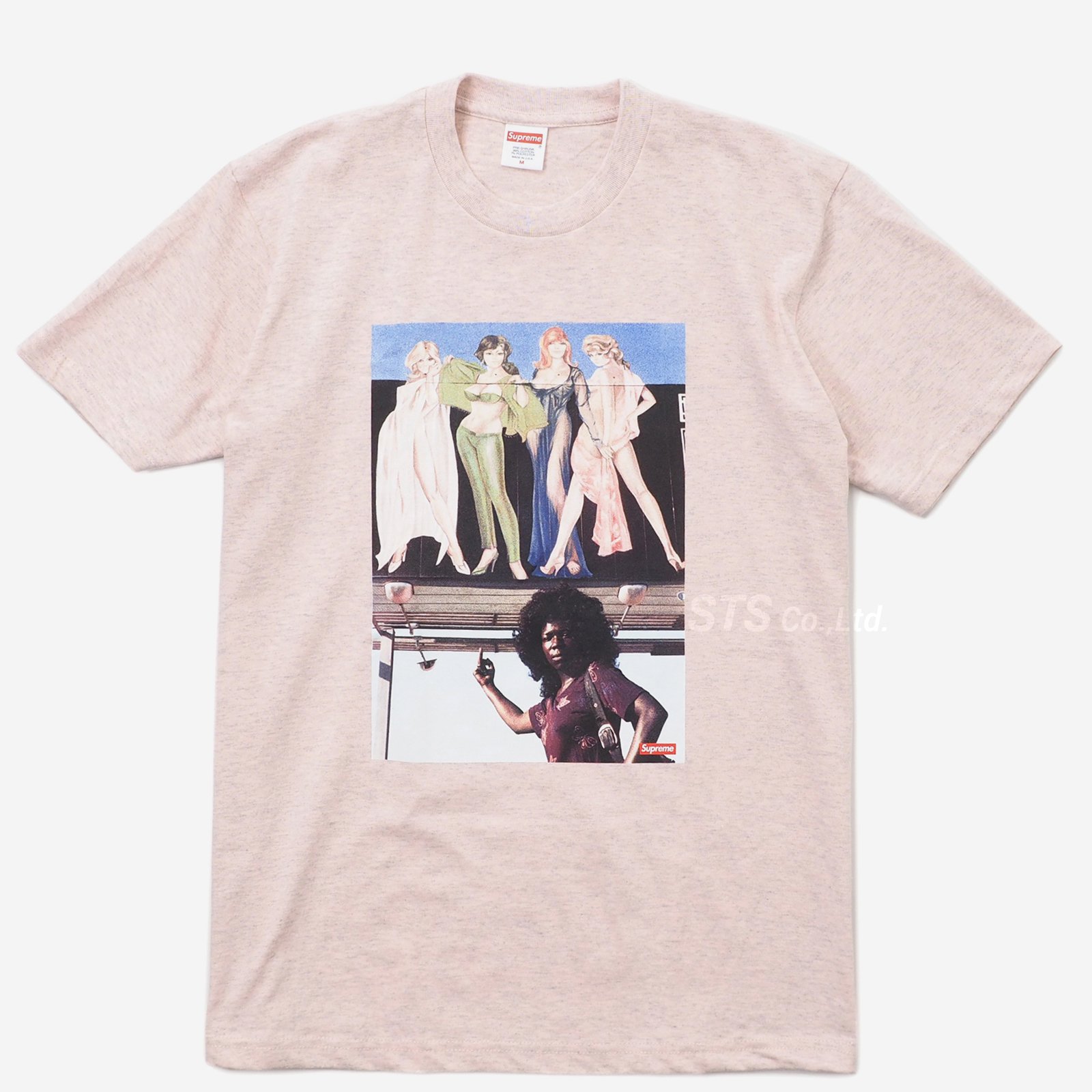 Supreme - American Picture Tee - ParkSIDER