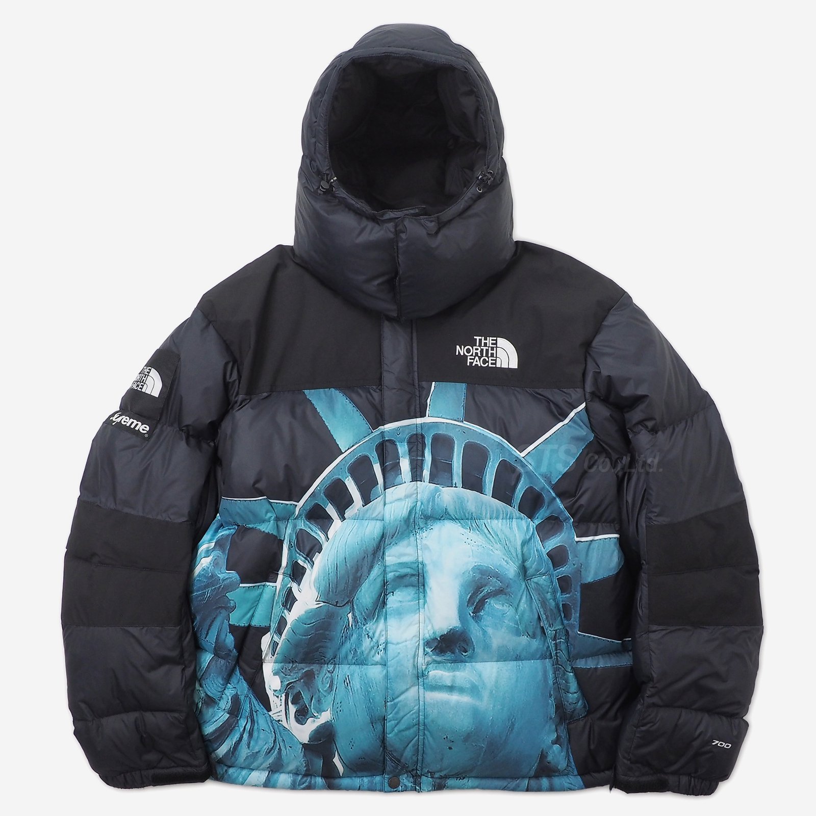 Supreme/The North Face Statue of Liberty Baltoro Jacket - ParkSIDER
