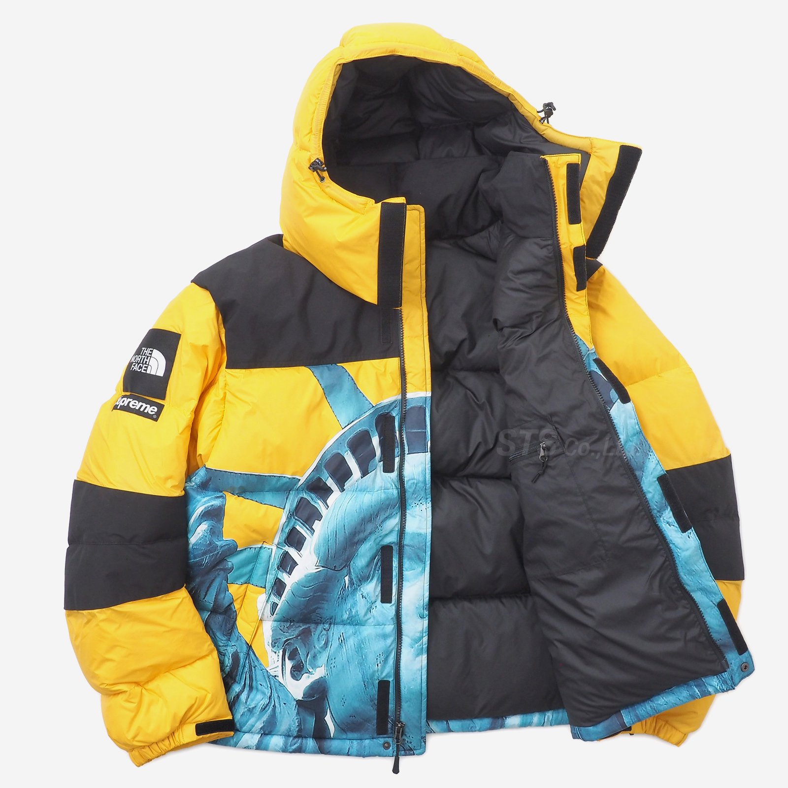 Supreme/The North Face Statue of Liberty Baltoro Jacket - ParkSIDER