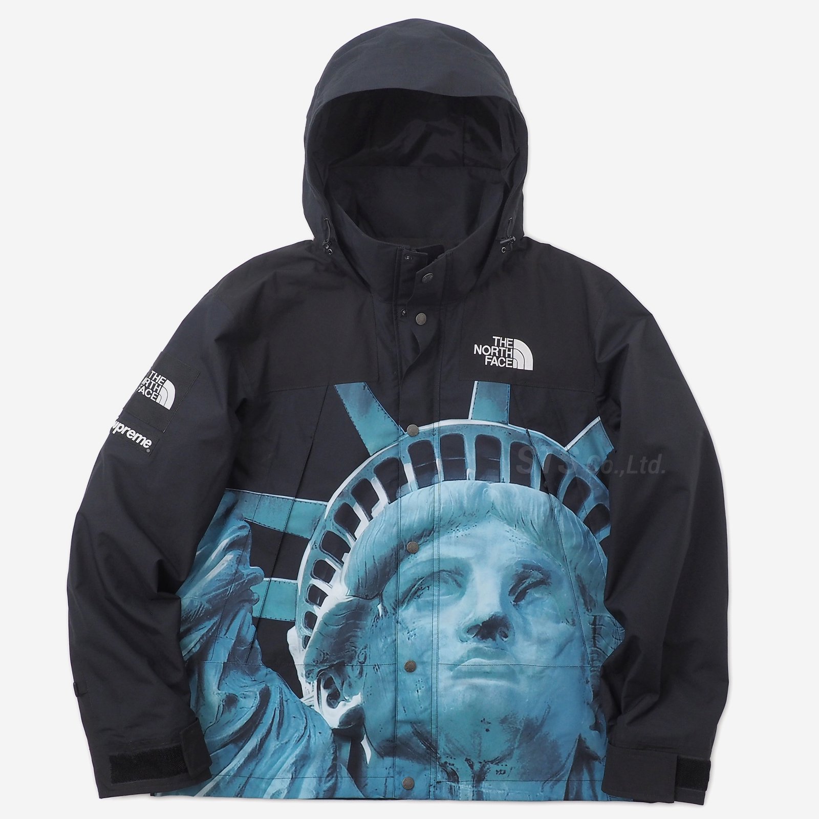 Supreme/The North Face Statue of Liberty Mountain Jacket - ParkSIDER