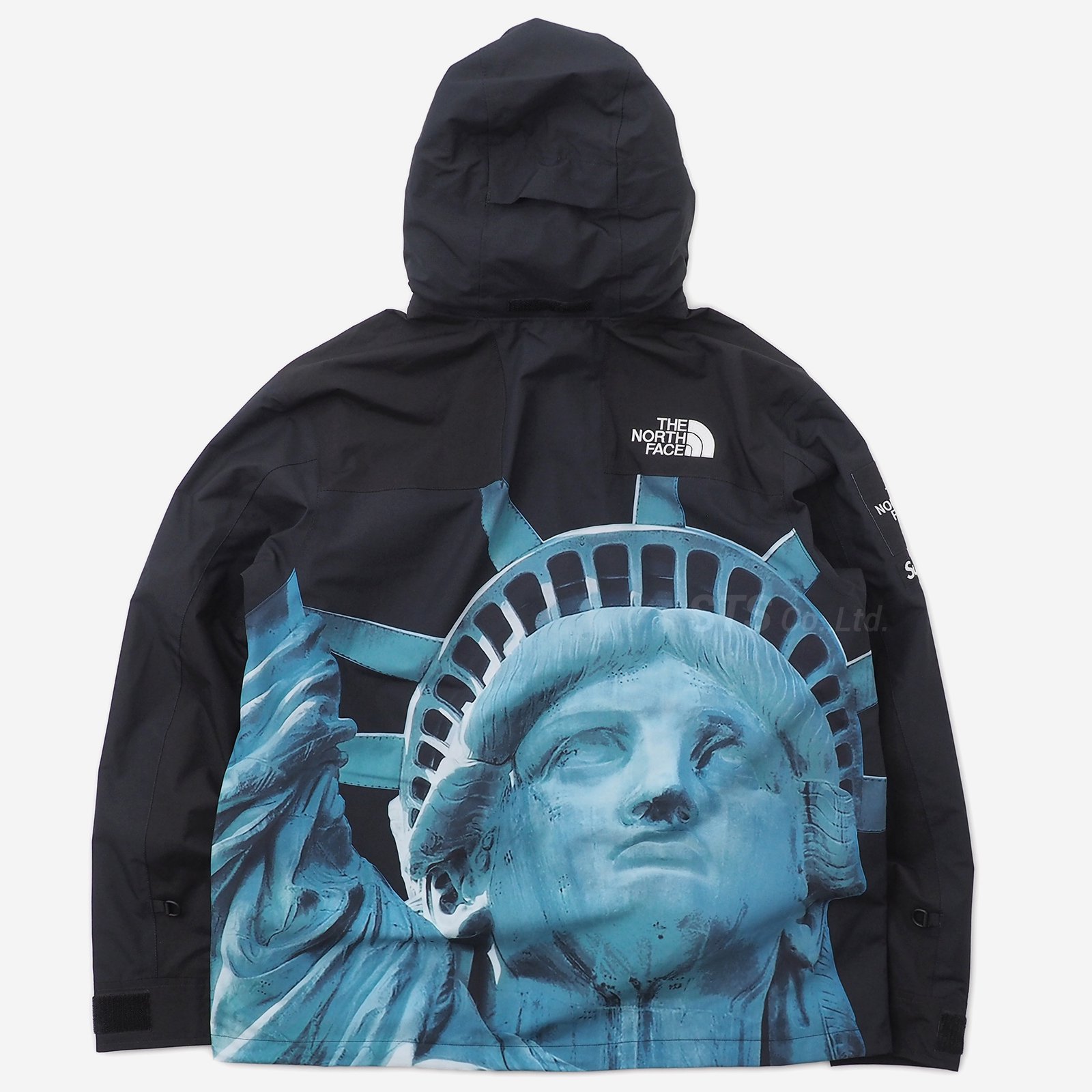 Supreme/The North Face Statue of Liberty Mountain Jacket ...