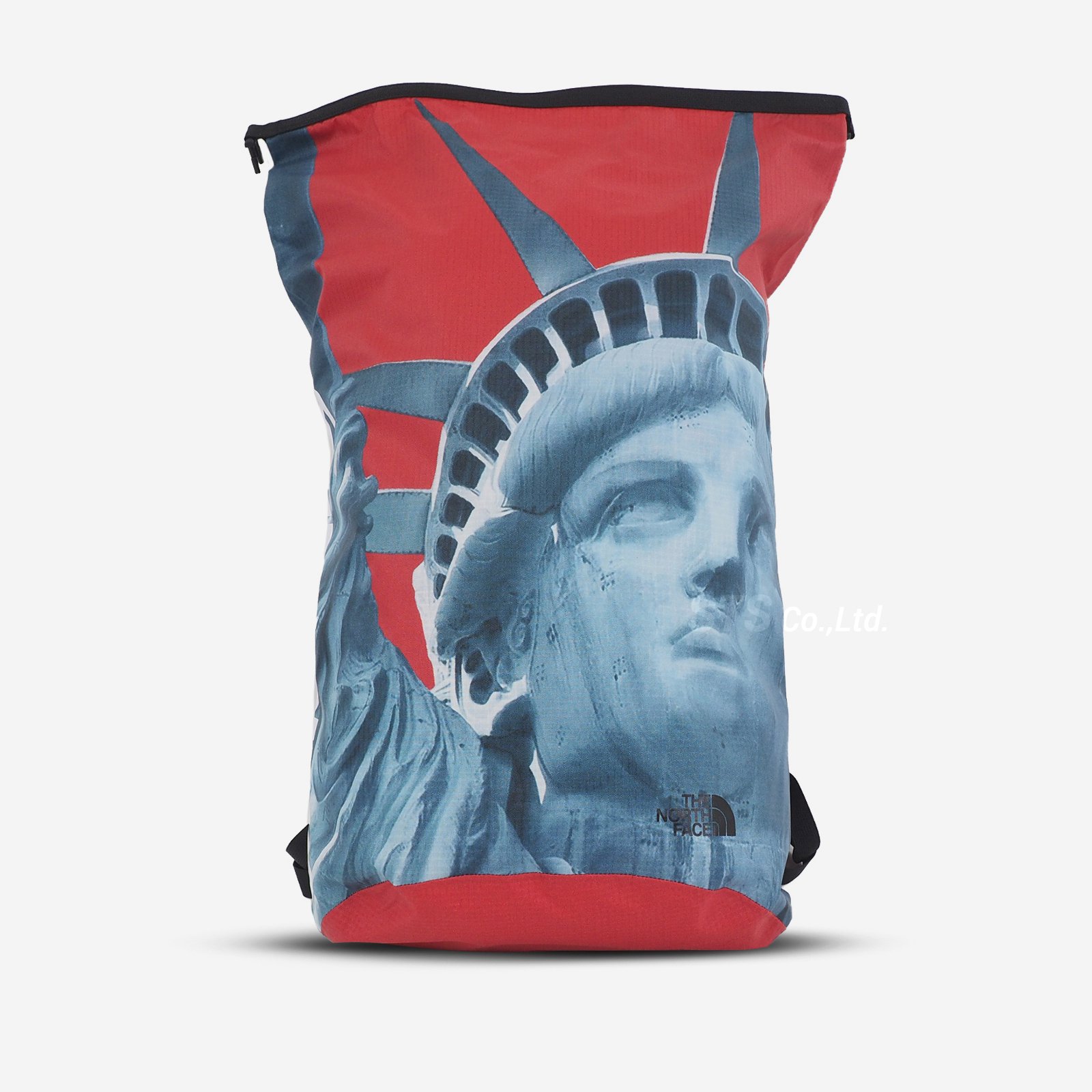 Supreme】TNF Statue of Liberty WATERPROO