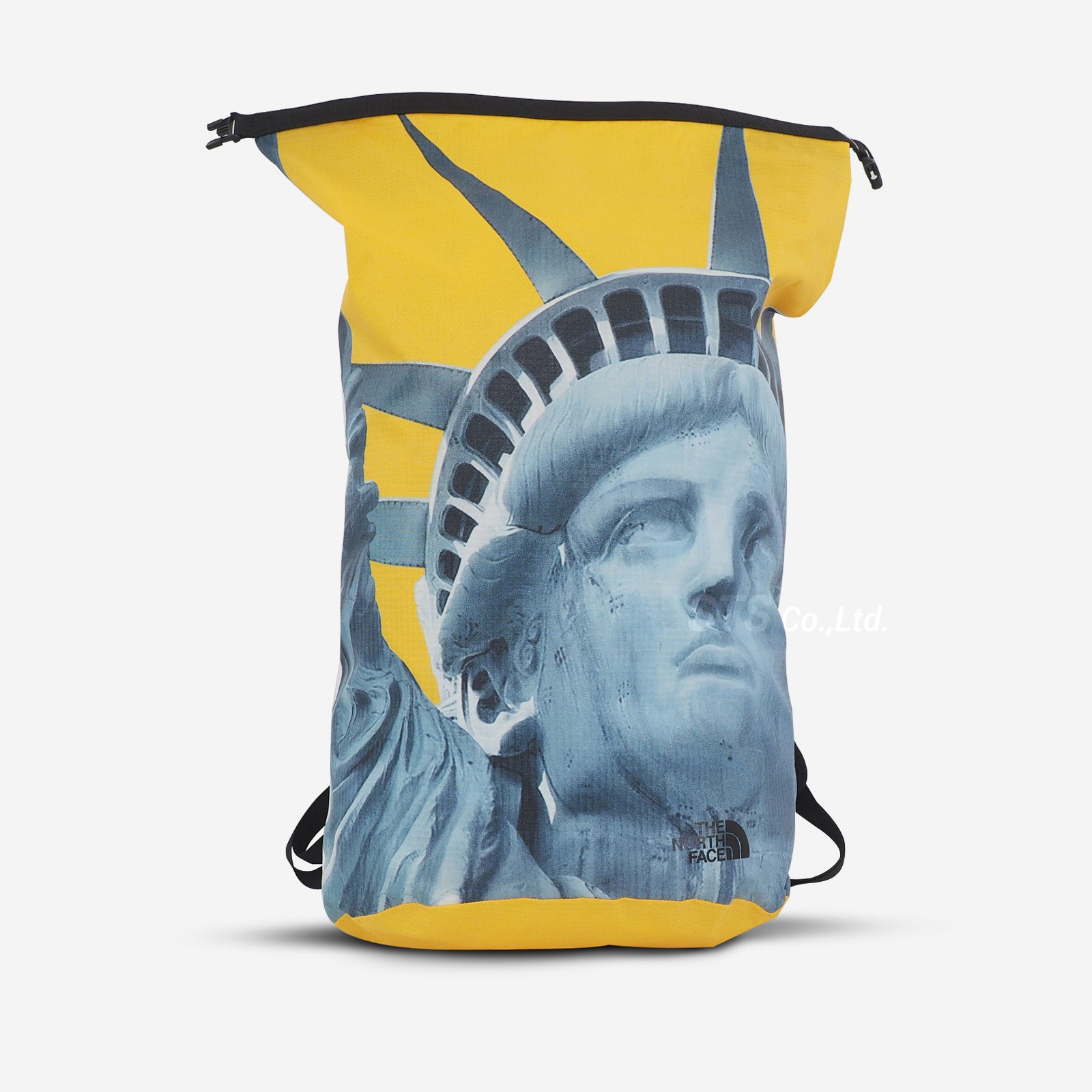 Supreme/The North Face Statue of Liberty Waterproof Backpack ...