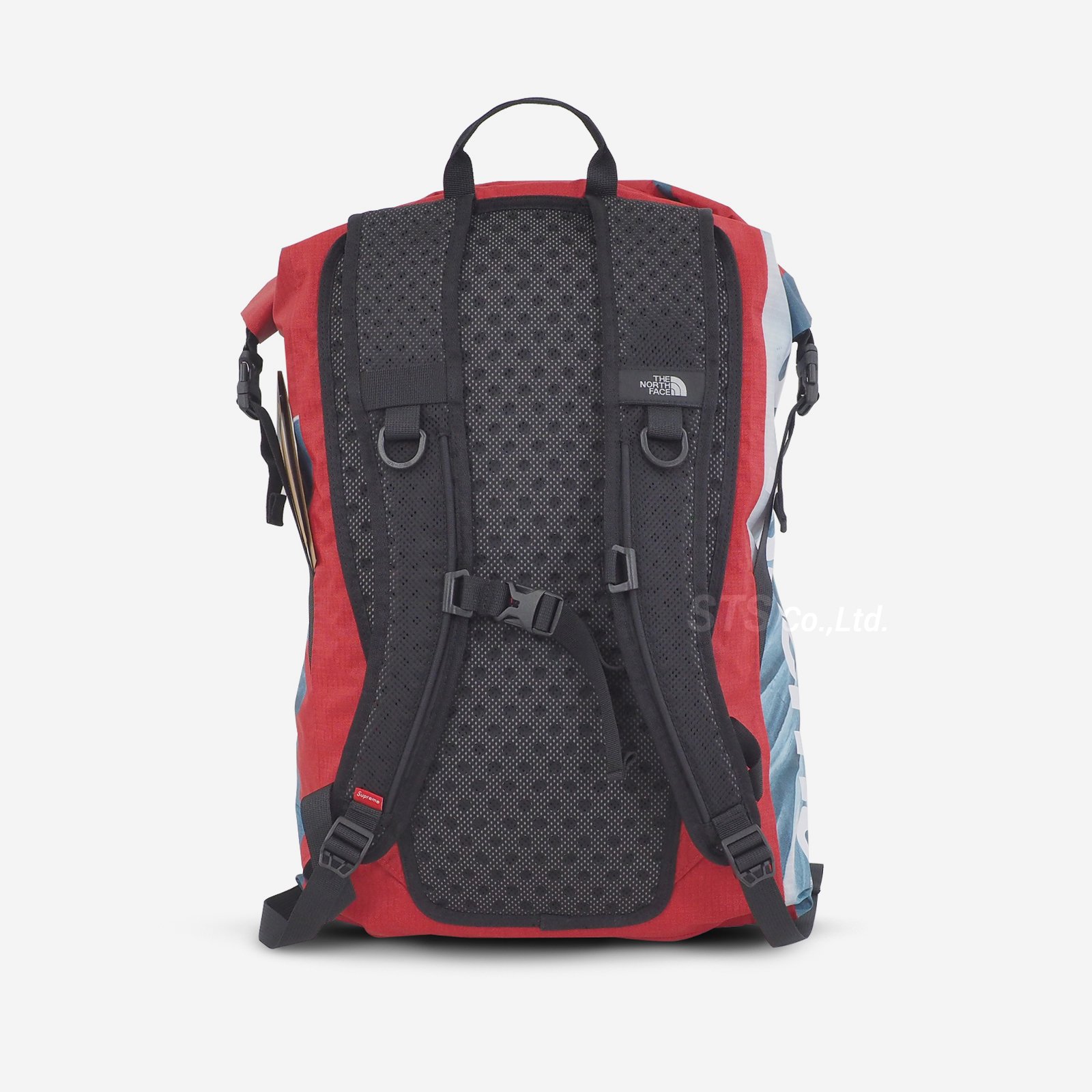 Supreme/The North Face Statue of Liberty Waterproof Backpack 