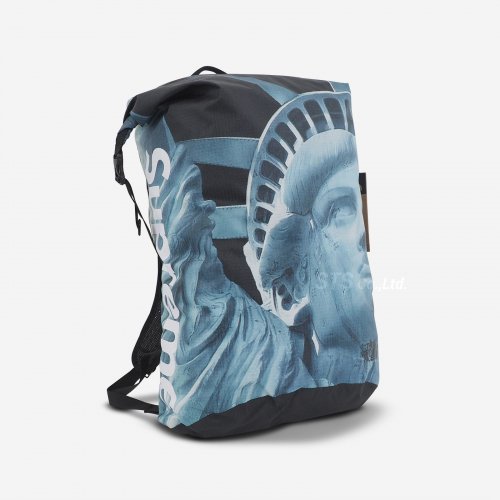 Supreme/The North Face Statue of Liberty Waterproof Backpack