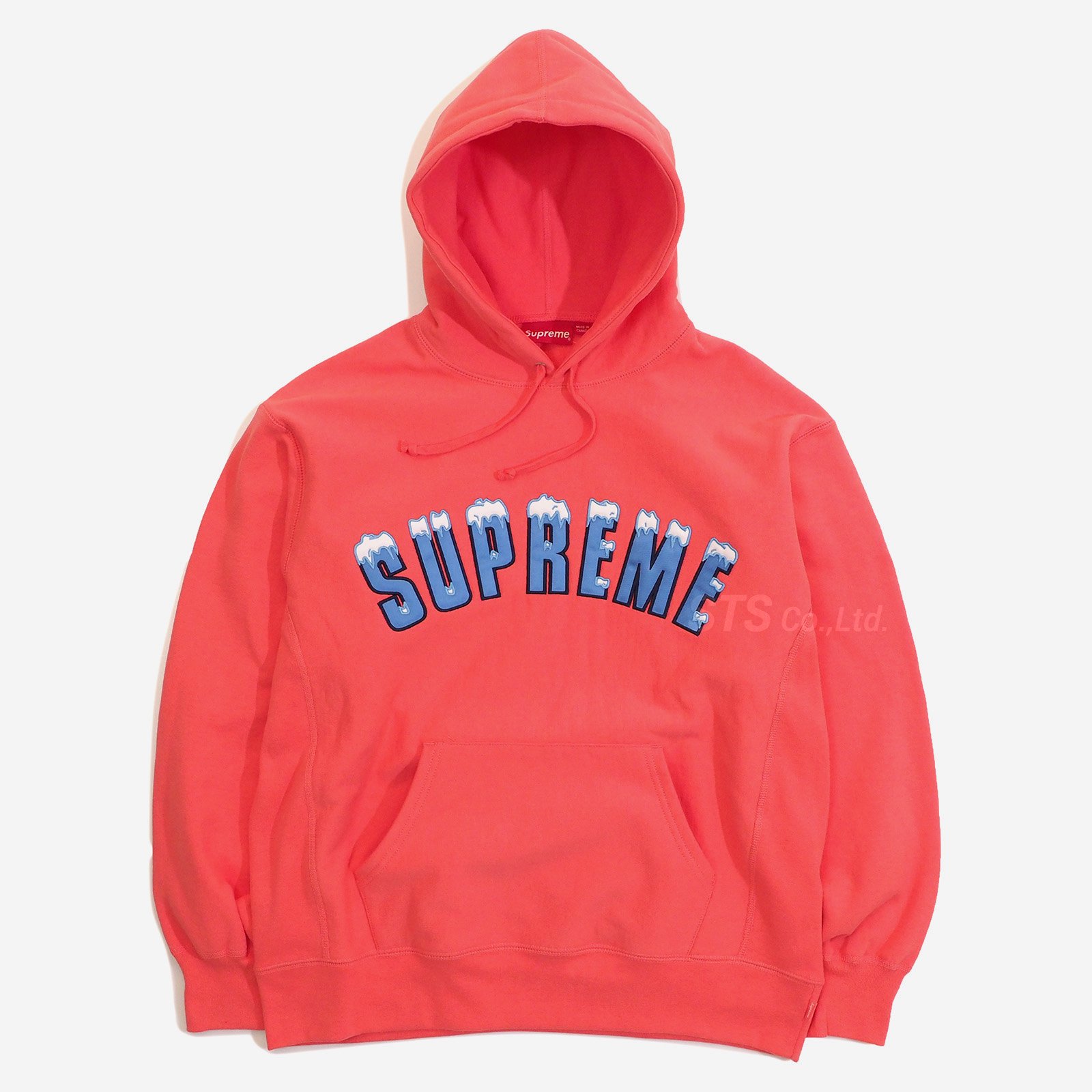 Supreme - Icy Arc Hooded Sweatshirt - ParkSIDER