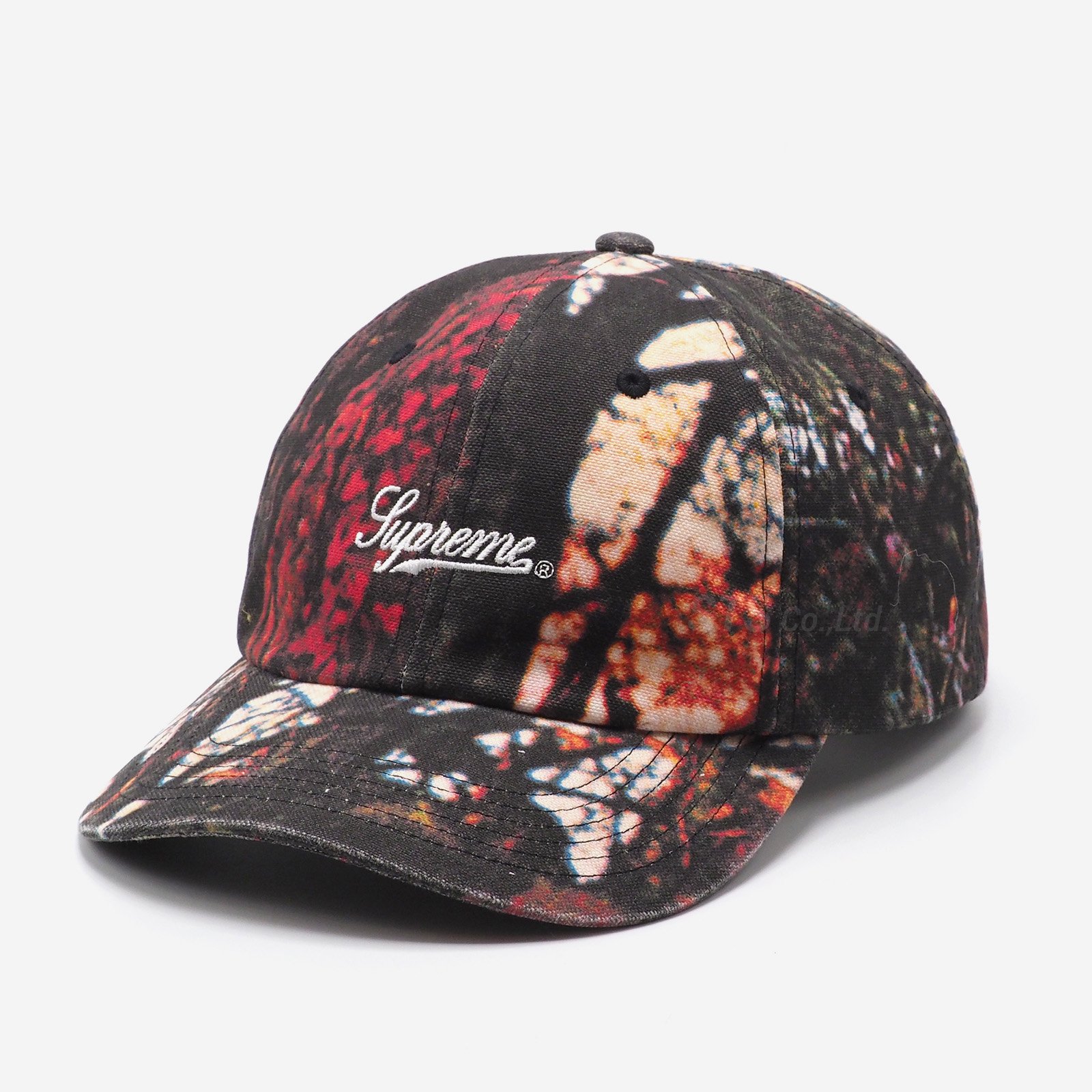 Supreme - Pigment Print Script Logo 6-Panel - ParkSIDER