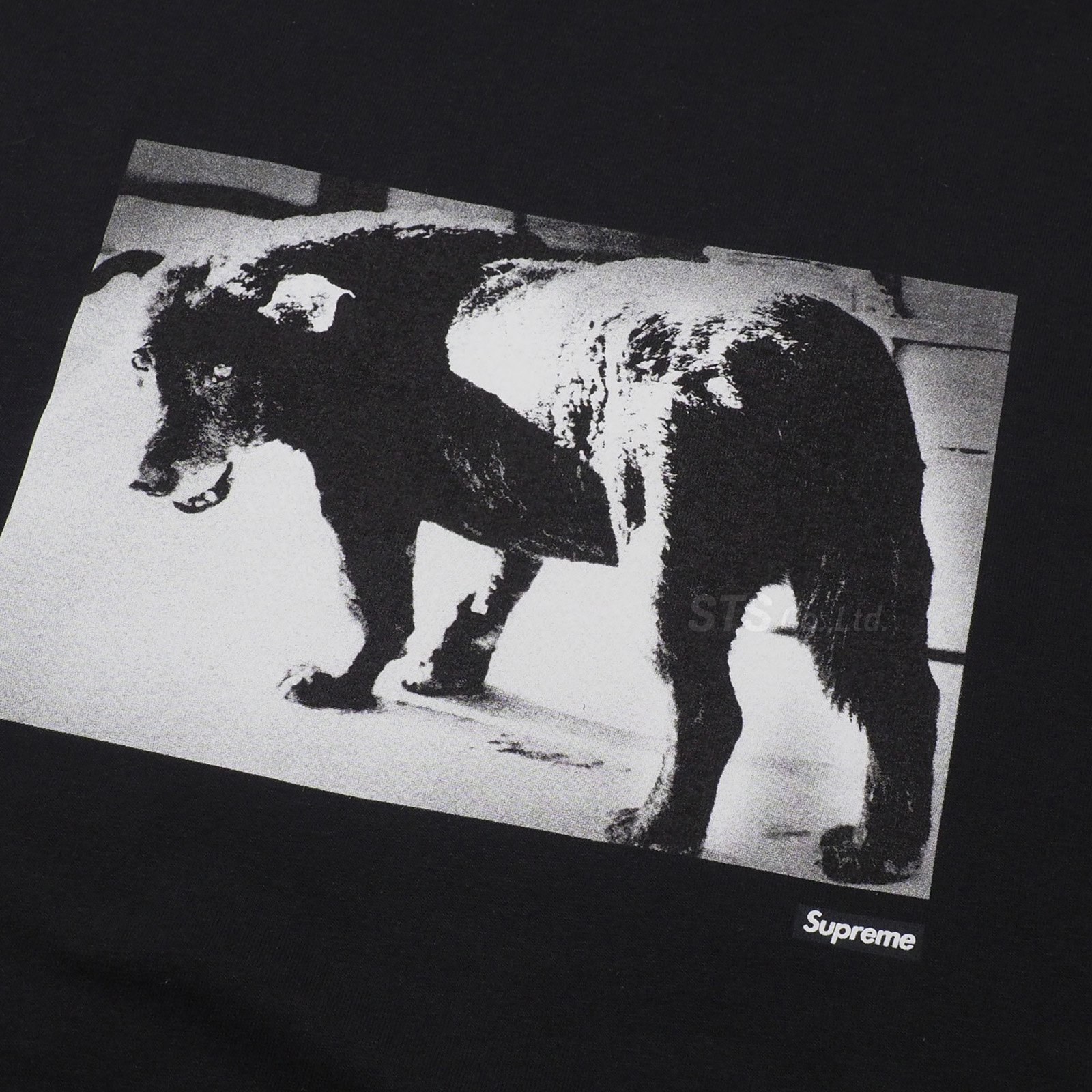 Supreme - Daido Moriyama Dog Tee - ParkSIDER