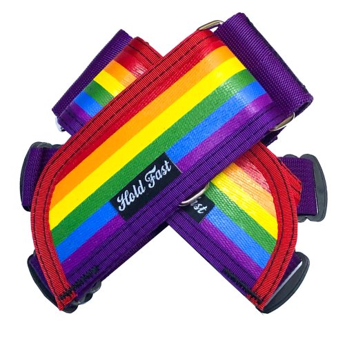 Hold Fast - Pride Straps - FRS