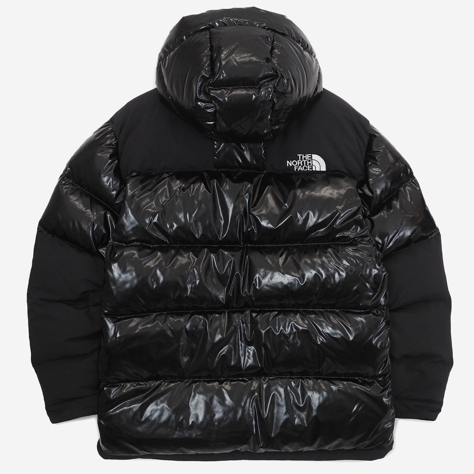 Supreme/The North Face 700-Fill Down Parka - ParkSIDER