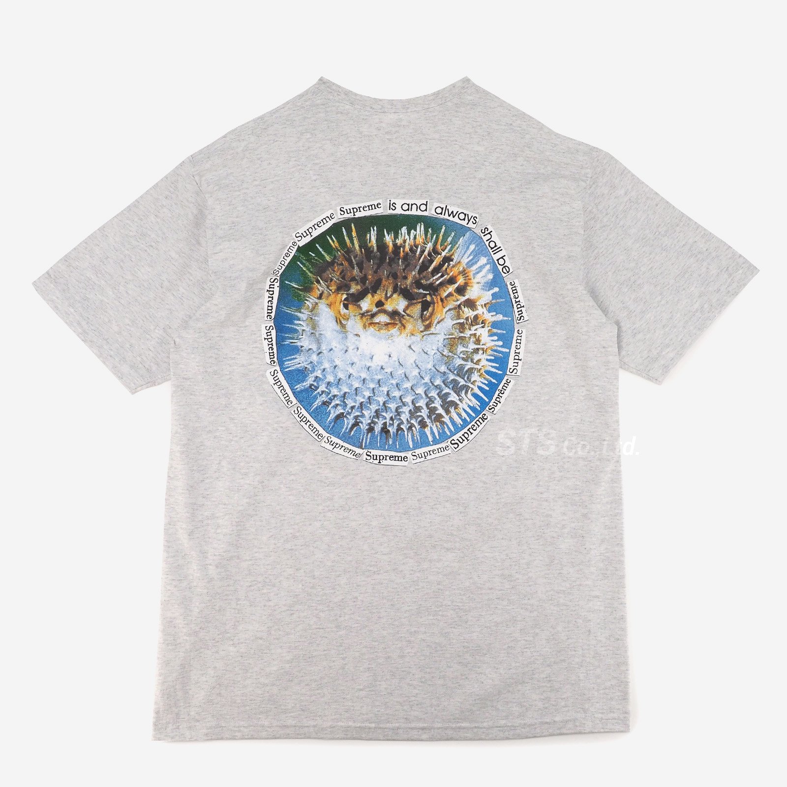 新品】SUPREME Blowfish Tee L - Tシャツ/カットソー(半袖/袖なし)