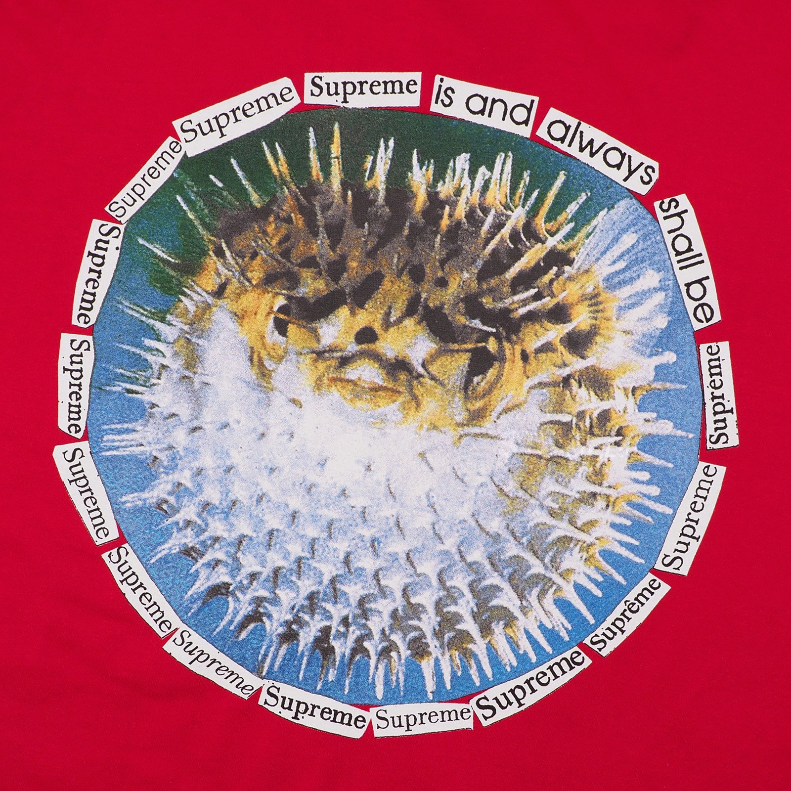 Supreme - Blowfish Tee - ParkSIDER