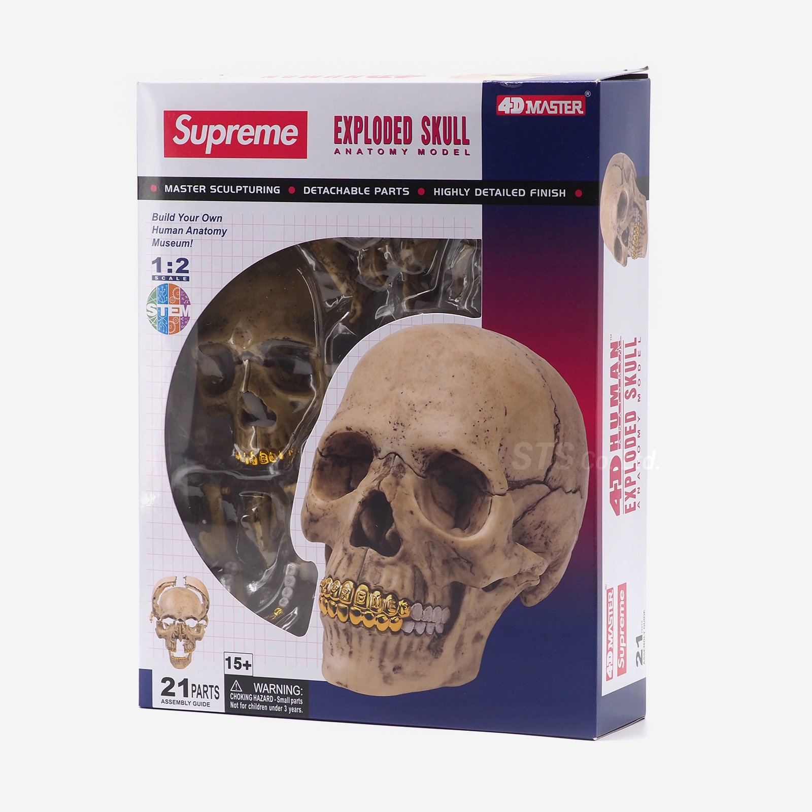 Supreme - 4D Model Human Skull | 頭蓋骨の模型パズル | Supreme 2023 
