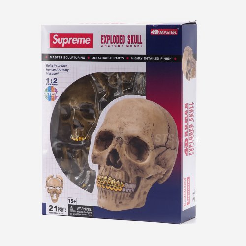 Supreme - 4D Model Human Skull
