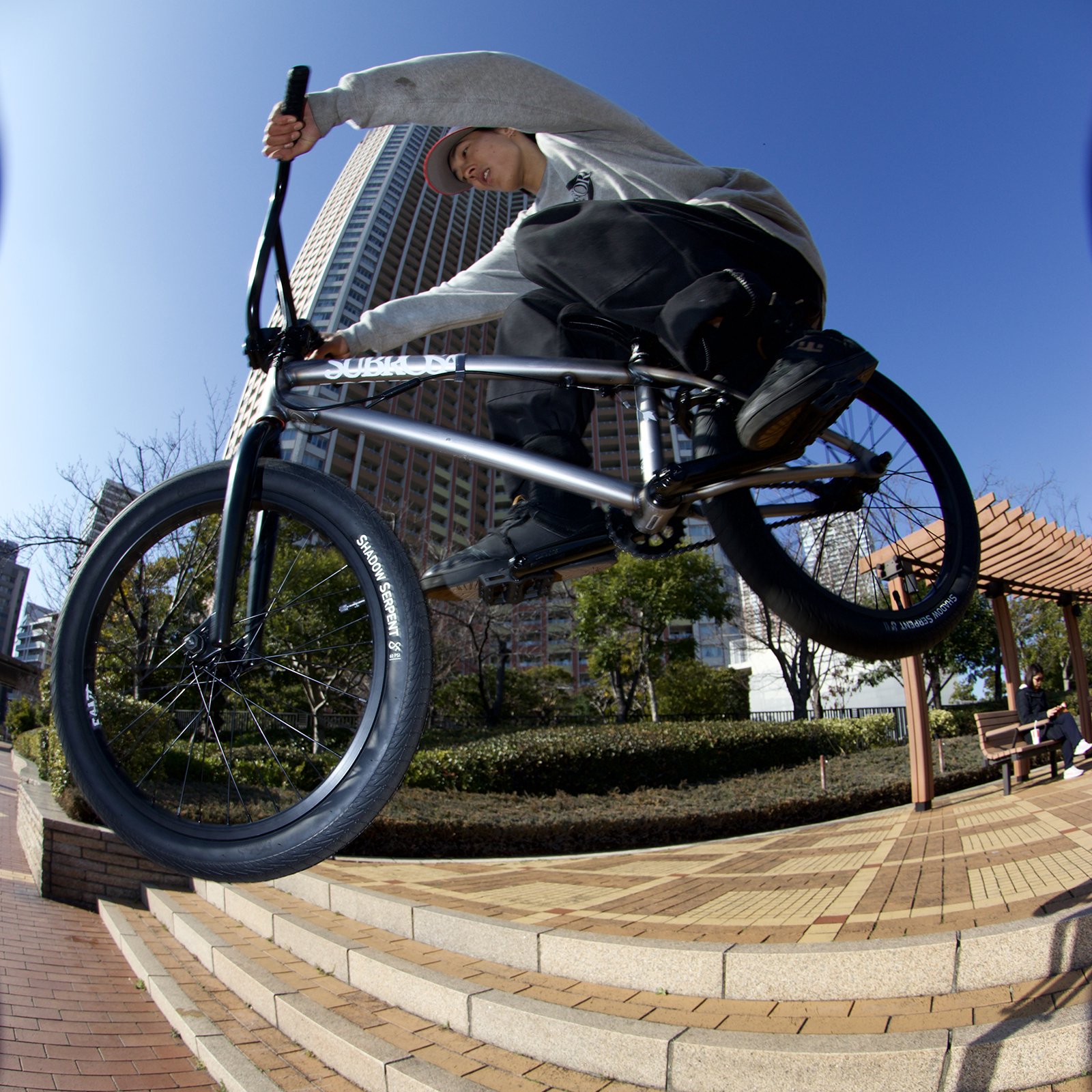 Subrosa - Wings Park 20