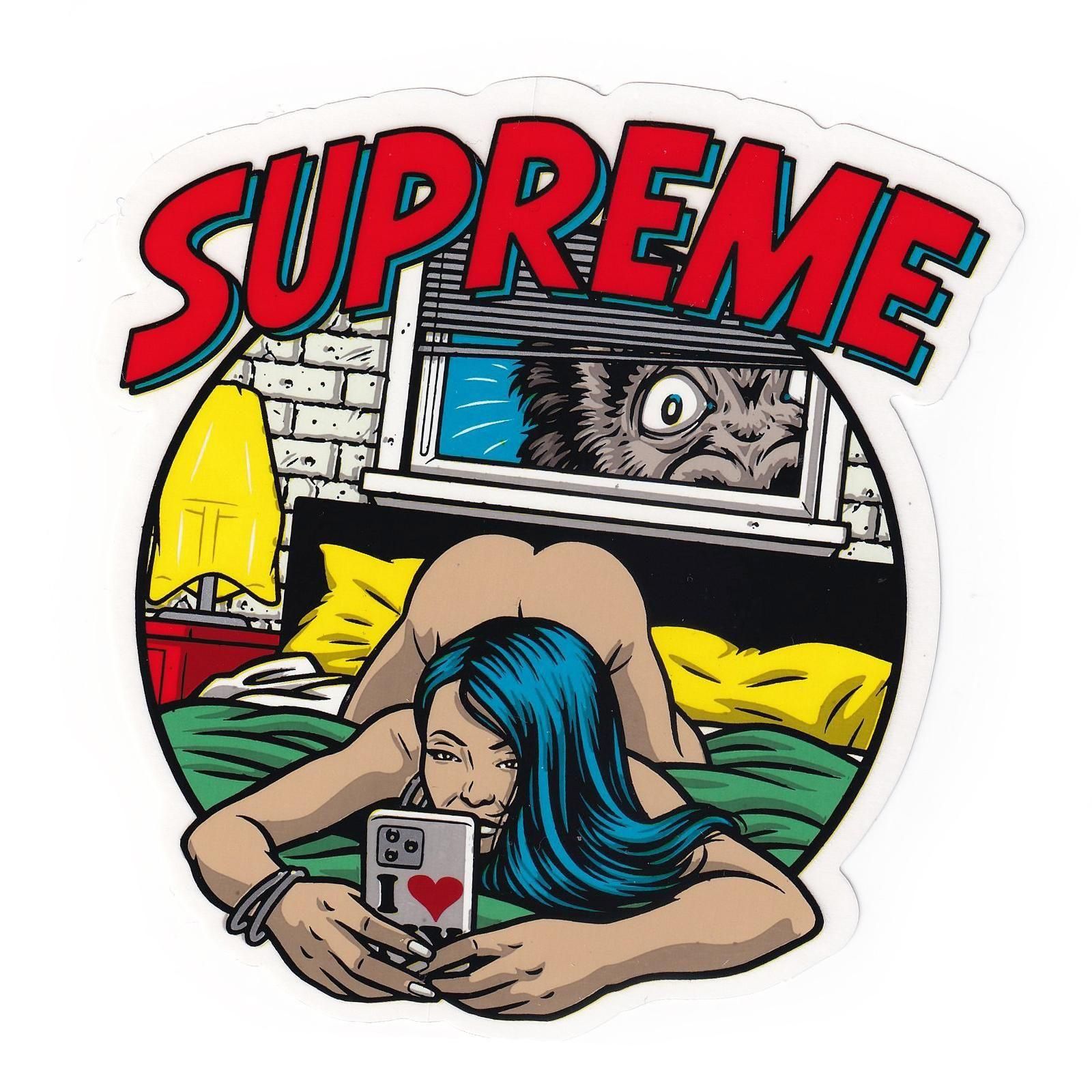 SUPREME ショーンクリバ　ステッカーセット SUPREME ショーンクリバ ステッカーセット Supreme Sticker
