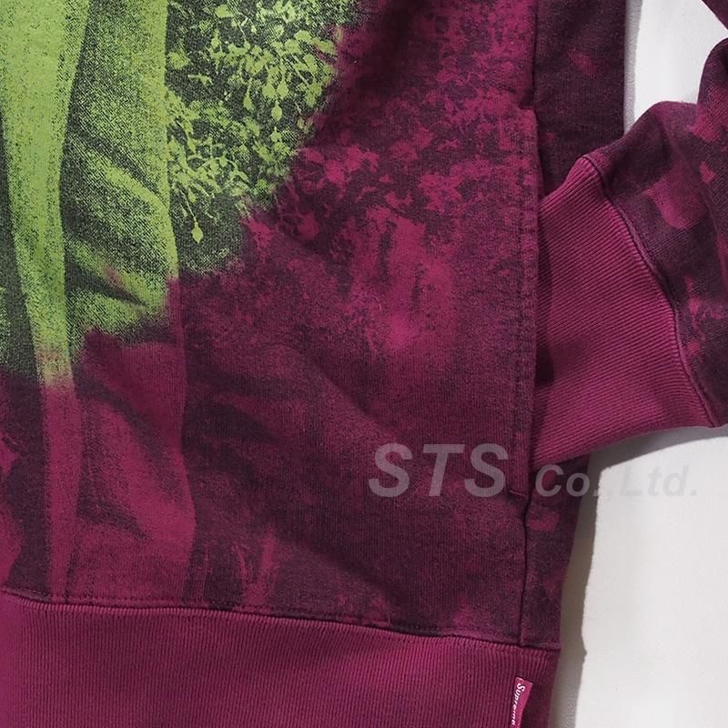 トップス Supreme - Burroughs Hooded Sweatshirt Supreme - Burroughs Hooded Sweatshirt - ParkSIDER