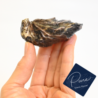 ԥ奢졼륪ʱİβڡ12