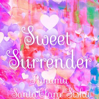 パナマ｜サンタクララ・シスカ｜「Sweet Surrender」｜2021/2022 焙煎豆（浅煎り）