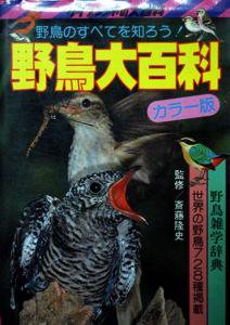 カラー版 『野鳥大百科』（ケイブンシャの大百科 86） - カズブックス