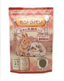 ڥ˥ɥۡѥ850