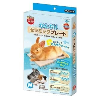 うさぎ専門店rabbit Ruru うさぎ専門店rabbit Ruru