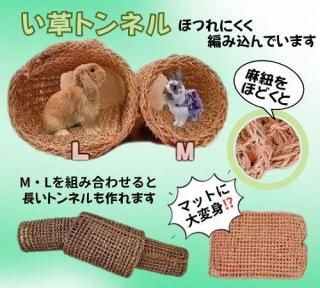 ����ȥ�ͥ��L��