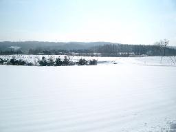 冬の間、雪に埋もれるにんにく畑