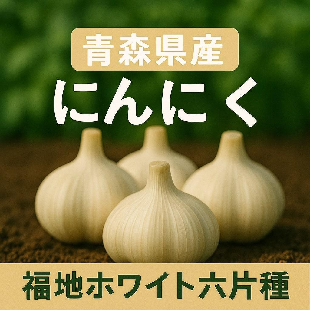 Ŀʡϥۥ磻ȤˤˤΥ᡼