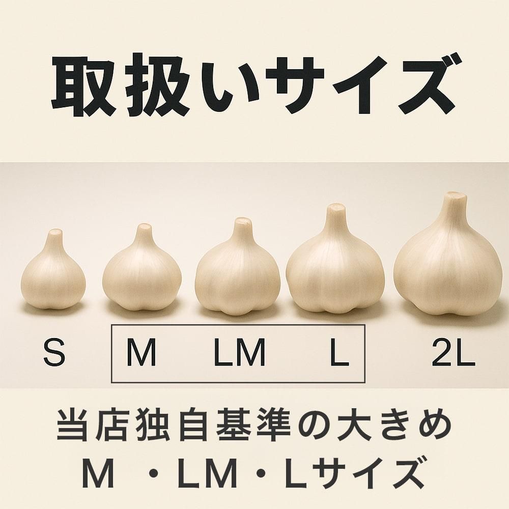 ŹȼΤˤˤ।᡼