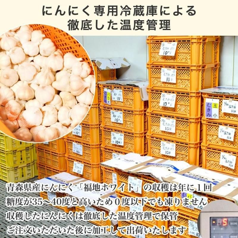 にんにくM ブルー kitaguniokome_fukuti