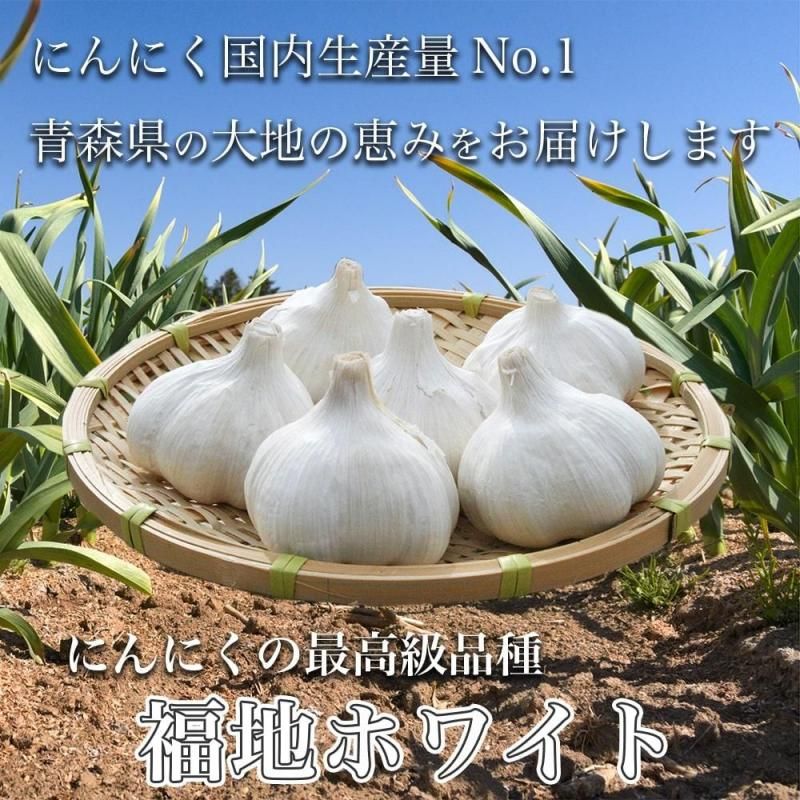 青森県にんにくタネ20Kg M消毒 青森県産低臭むきにんにく 1kg｜にんにく卸専門 いいにんにく