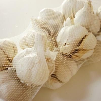 青森県にんにくタネ10Kg  ms 消毒済み 青森県 にんにく種子10Kg L消毒済み 【食べれません】