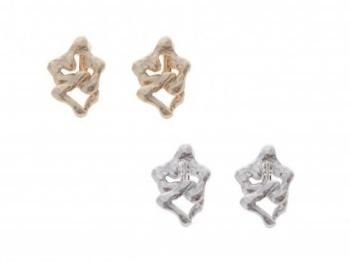 <img class='new_mark_img1' src='https://img.shop-pro.jp/img/new/icons1.gif' style='border:none;display:inline;margin:0px;padding:0px;width:auto;' />Nature motif small earring