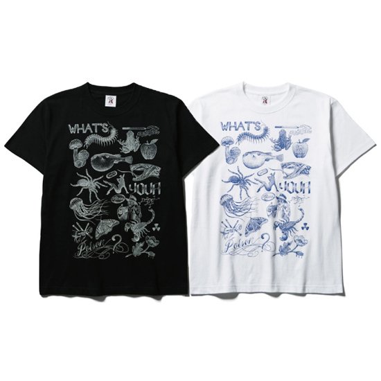 SOFT MACHINE/ソフトマシーン】POISON TEE【Tシャツ】 - ONE'S FORTE