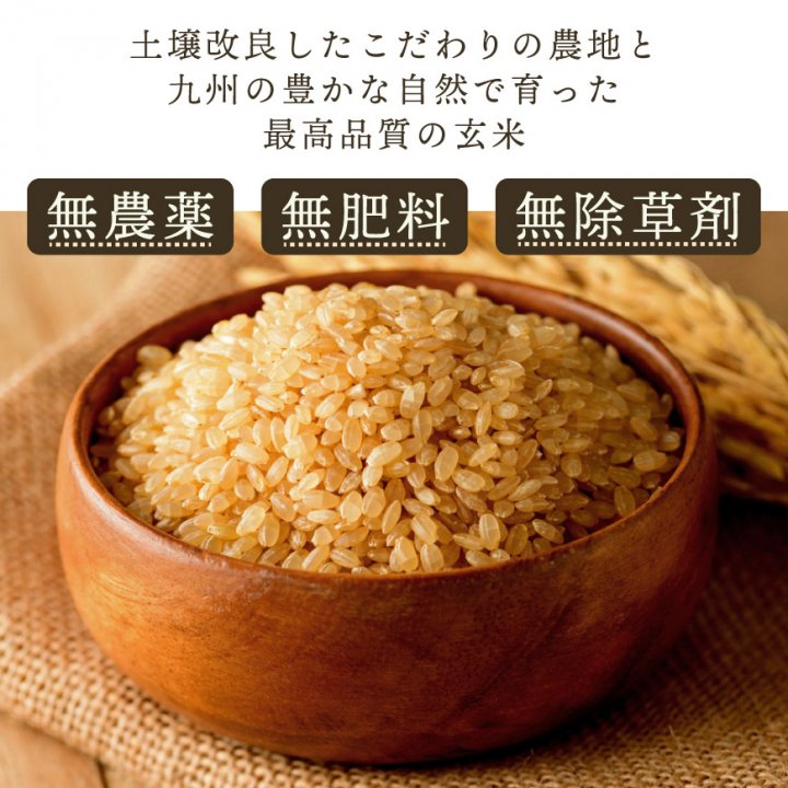 還元米-くまもと朝日玄米5kg（おがた健康農園-熊本県産）無農薬・無
