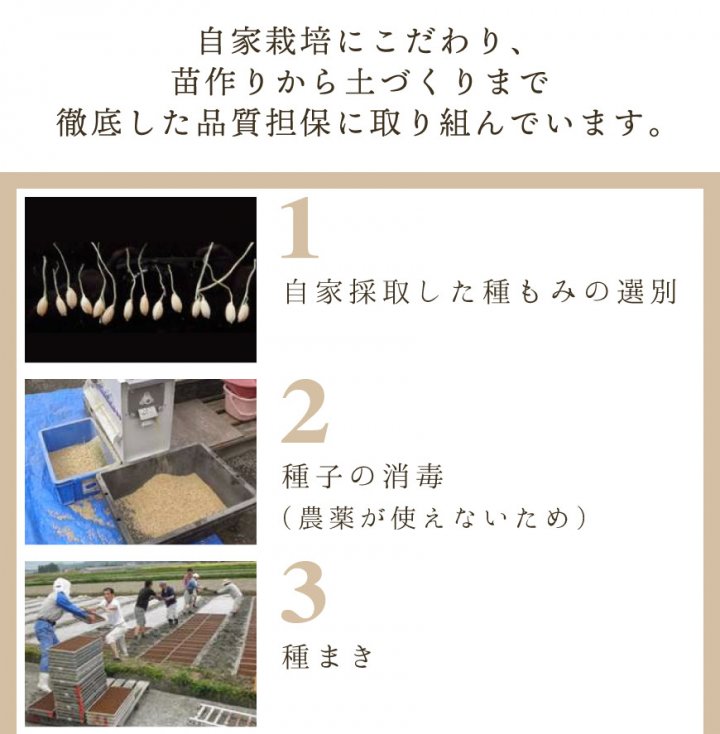 還元米-くまもと朝日玄米5kg（おがた健康農園-熊本県産）無農薬・無肥料栽培【2023年度産新米】