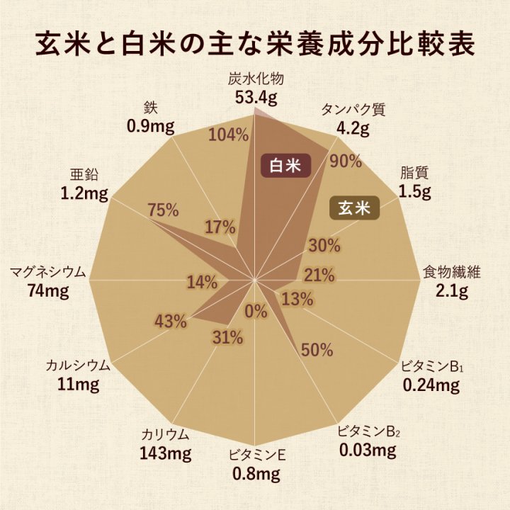 たけじい農場栽培のこだわり2023年 朝日米5kg玄米 たけ爺ブランド米