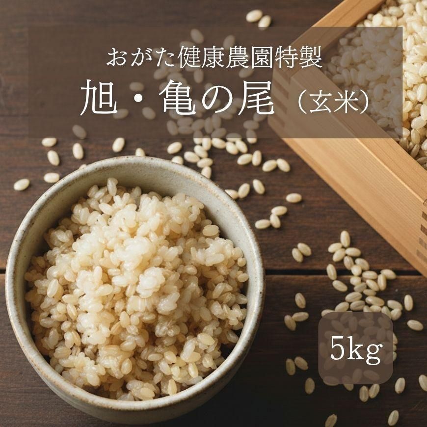  5kg  ̵̵ 2025ǯٻơ