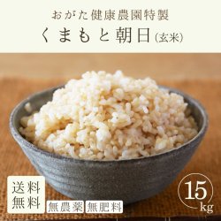 朝日 玄米（おがた健康農園特製 無農薬・無肥料栽培）15kg-2021年産新米