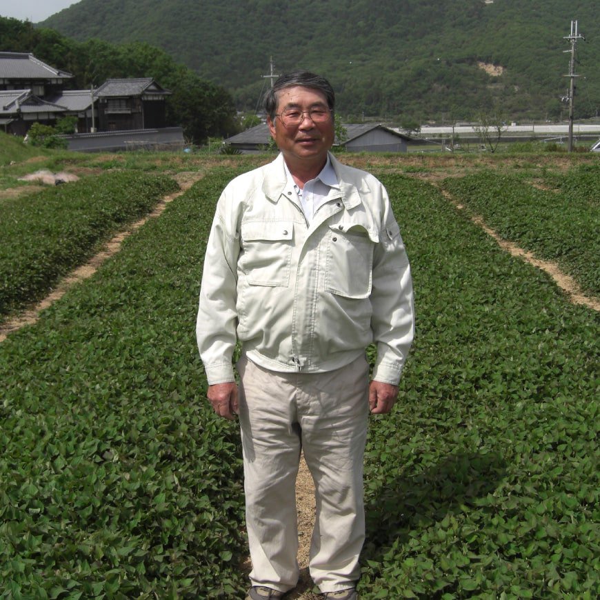 国産 松の葉粉末 700g 無農薬栽培 兵庫県産フレッシュファーム奥本 - 飲料/酒