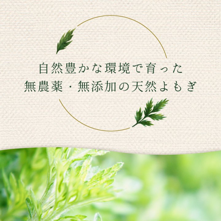 深吉野よもぎ 茶葉 100g (無農薬栽培) -かわしま屋- 【送料無料